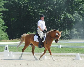 Dr. Geick on horseback, practicing dressage