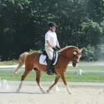 Dr. Geick on horseback, practicing dressage